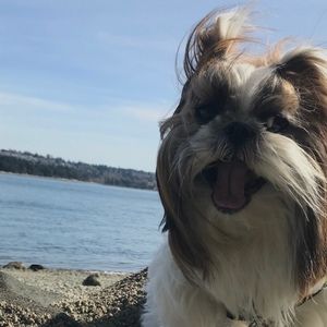 Meet your Posher, Jenny